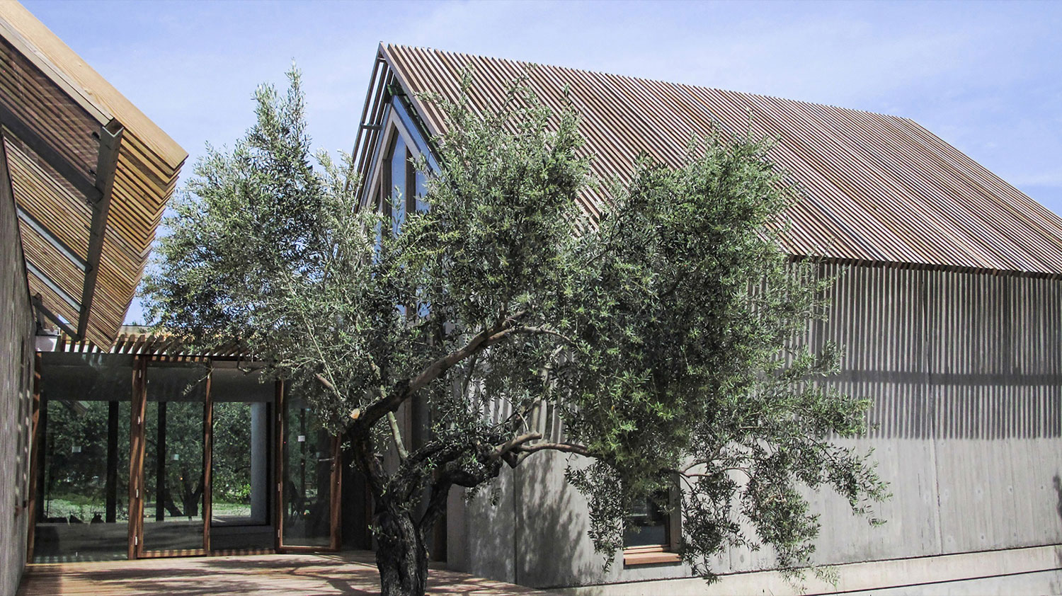 A Luminous and Spacious Home for a Retired Couple in Mordoğan, Turkey by Onur Teke (4)