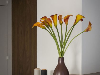 A Midcentury Eichler Home Turned Into a Functional Family House in San Rafael by building Lab (10)