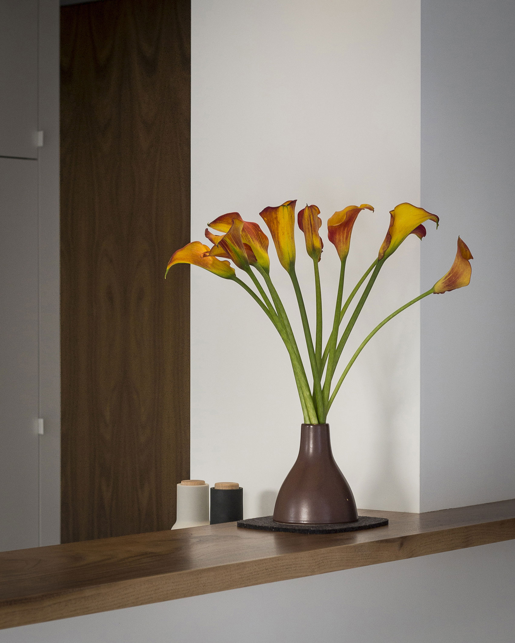 A Midcentury Eichler Home Turned Into a Functional Family House in San Rafael by building Lab (10)