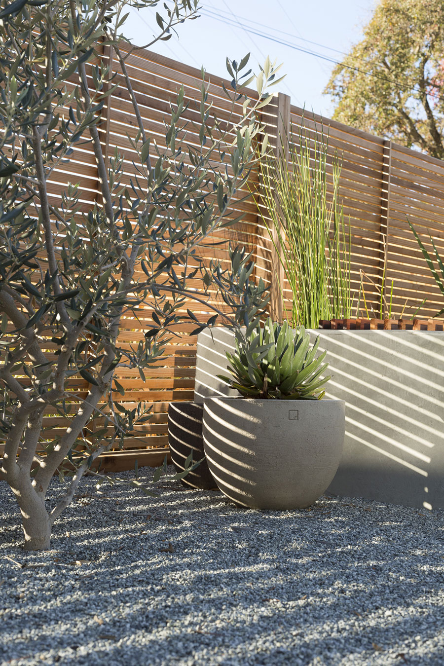 A Midcentury Eichler Home Turned Into a Functional Family House in San Rafael by building Lab (3)