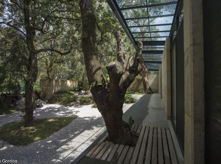 A Modern Concrete Home Surrounded by Trees and Vegetation Embrace in Morelos by Taller|A arquitectos (5)