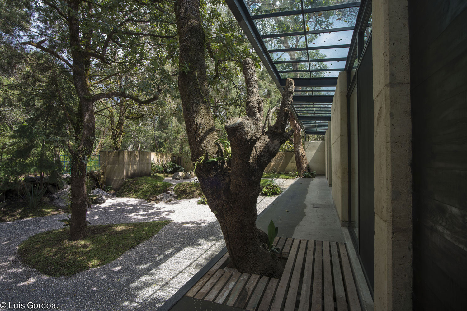 A Modern Concrete Home Surrounded by Trees and Vegetation Embrace in Morelos by Taller|A arquitectos (5)