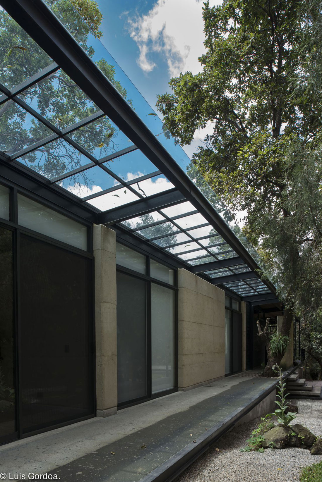 A Modern Concrete Home Surrounded by Trees and Vegetation Embrace in Morelos by Taller|A arquitectos (7)