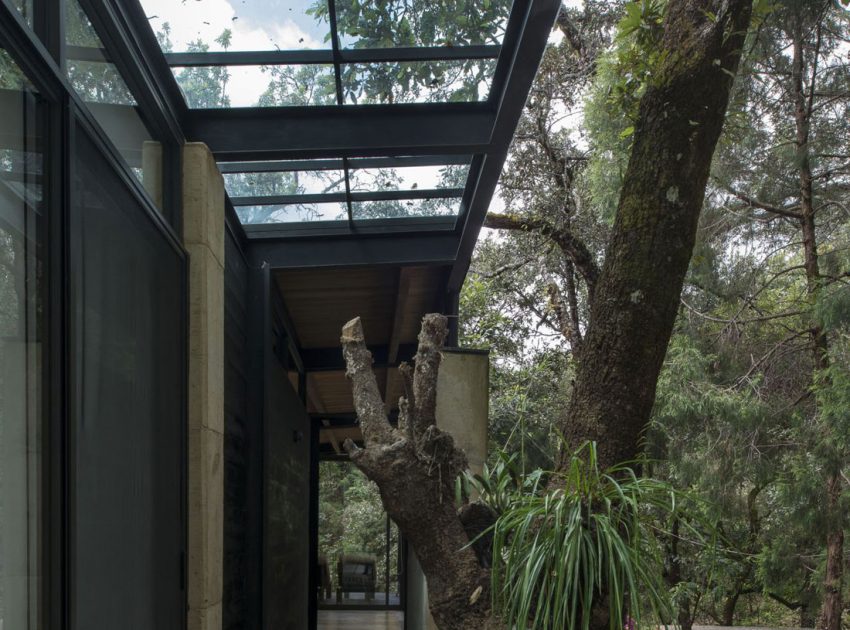 A Modern Concrete Home Surrounded by Trees and Vegetation Embrace in Morelos by Taller|A arquitectos (8)