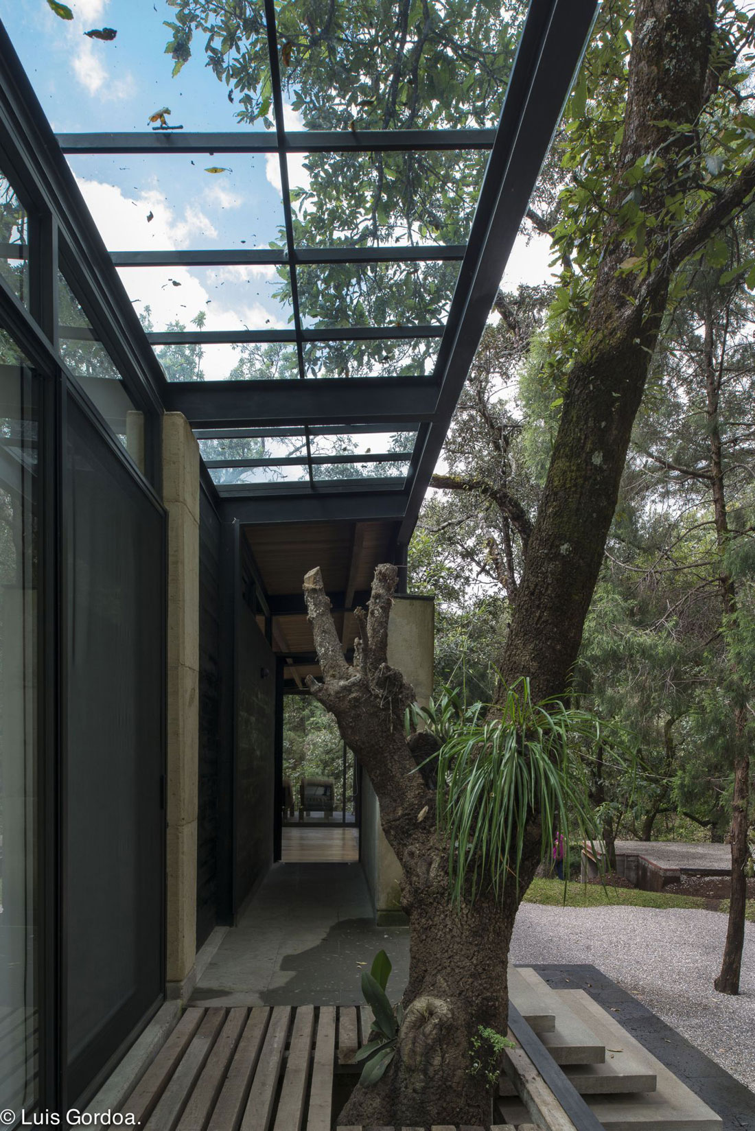A Modern Concrete Home Surrounded by Trees and Vegetation Embrace in Morelos by Taller|A arquitectos (8)