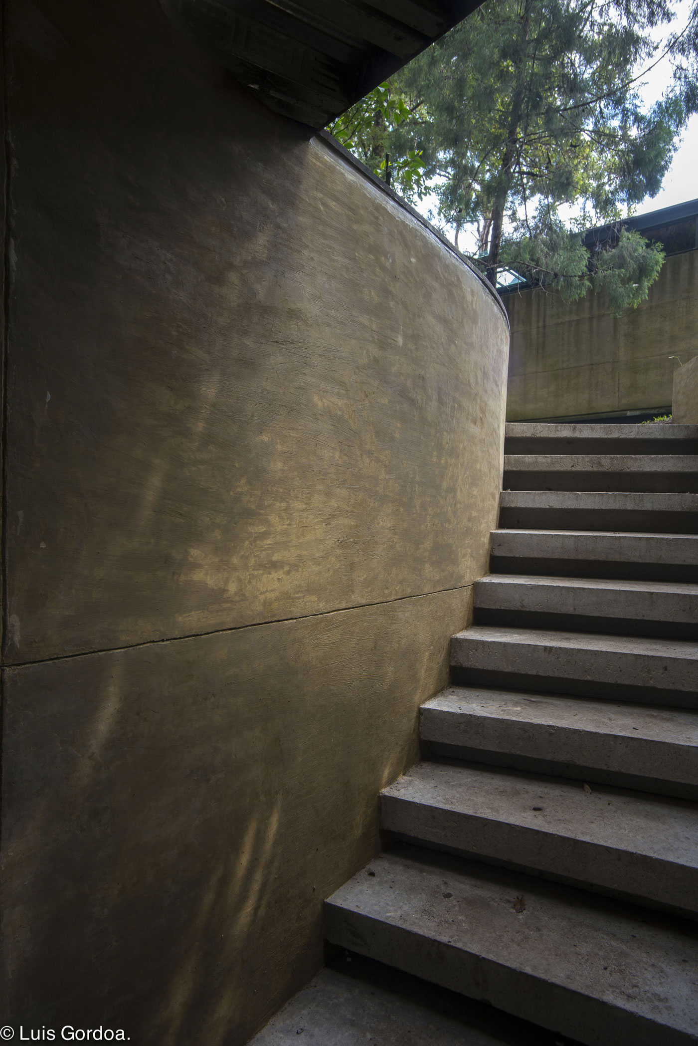 A Modern Concrete Home Surrounded by Trees and Vegetation Embrace in Morelos by Taller|A arquitectos (9)