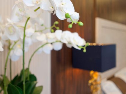 A Sophisticated Art Deco Home with Elegant Rich Wood and Golden Accents in St. Petersburg by NG Studio (15)