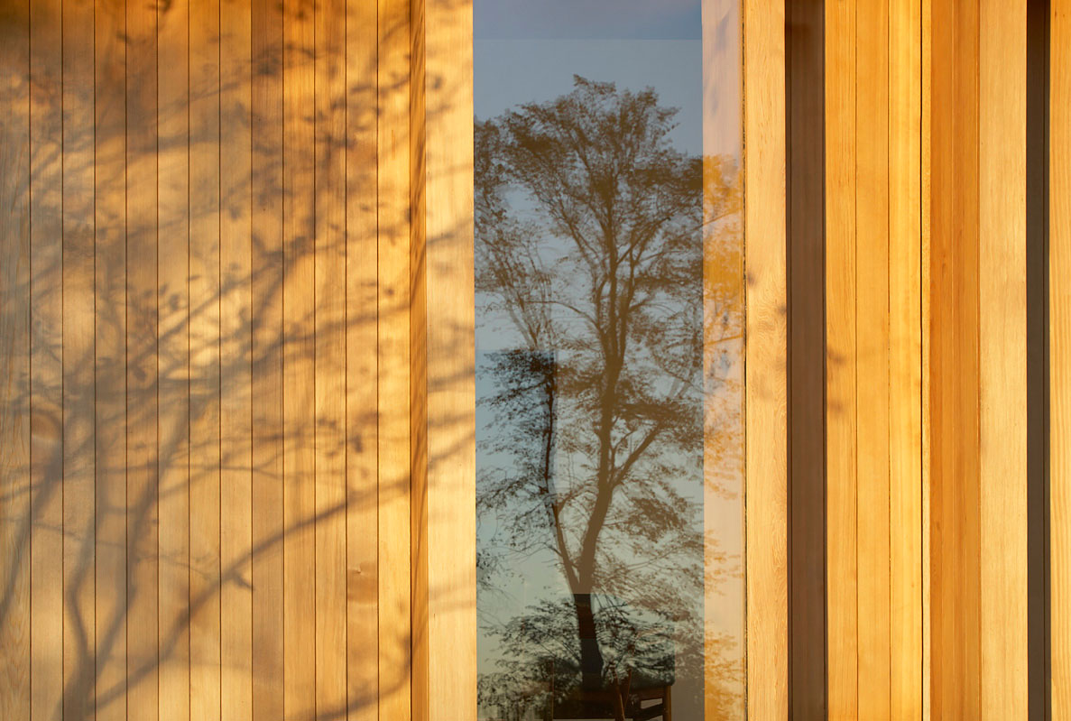 A Spacious Contemporary Home with Airy Interior and Vast Gardens in London by Hufton + Crow (10)