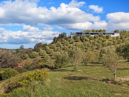 A Spacious Waterfront Home with Bold and Vibrant Interiors in Kerikeri by Richard Naish (10)