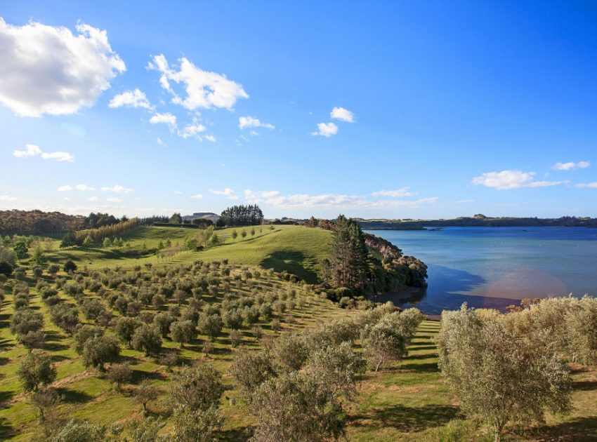 A Spacious Waterfront Home with Bold and Vibrant Interiors in Kerikeri by Richard Naish (9)