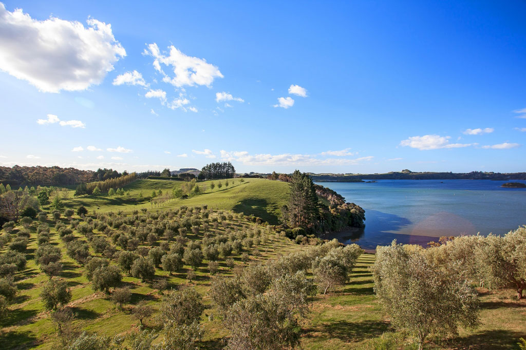 A Spacious Waterfront Home with Bold and Vibrant Interiors in Kerikeri by Richard Naish (9)