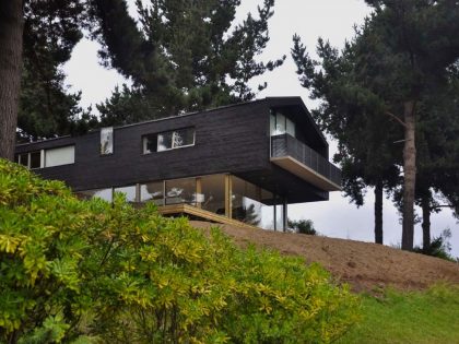 A Spacious and Warm Modern Home Embraced by a Forest of Pines in Zapallar