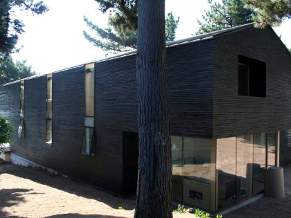 A Spacious and Warm Modern Home Embraced by a Forest of Pines in Zapallar by Raimundo Anguita (4)