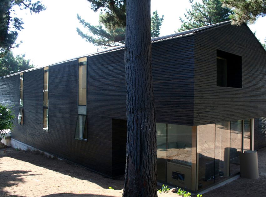 A Spacious and Warm Modern Home Embraced by a Forest of Pines in Zapallar by Raimundo Anguita (4)