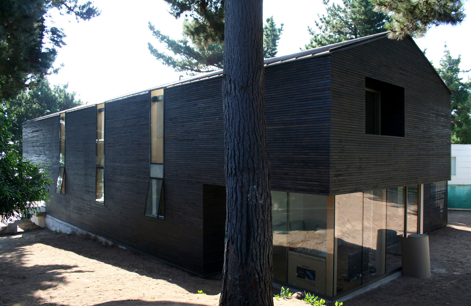 A Spacious and Warm Modern Home Embraced by a Forest of Pines in Zapallar by Raimundo Anguita (4)