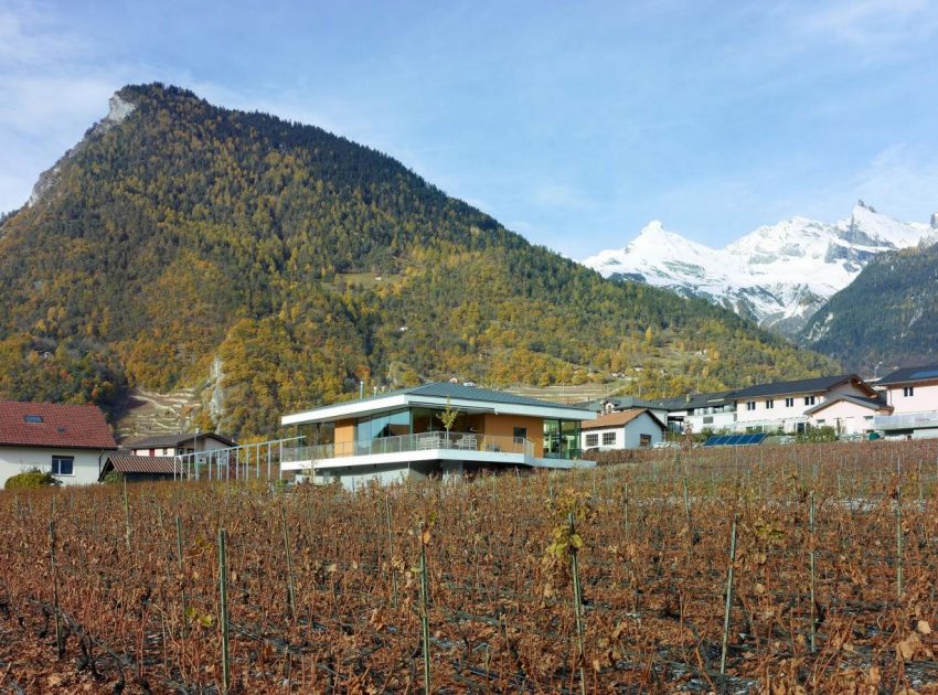 A Spectacular Concrete House Surrounded by Vineyard and Mountain Views of Chamoson by savioz fabrizzi architectes (2)