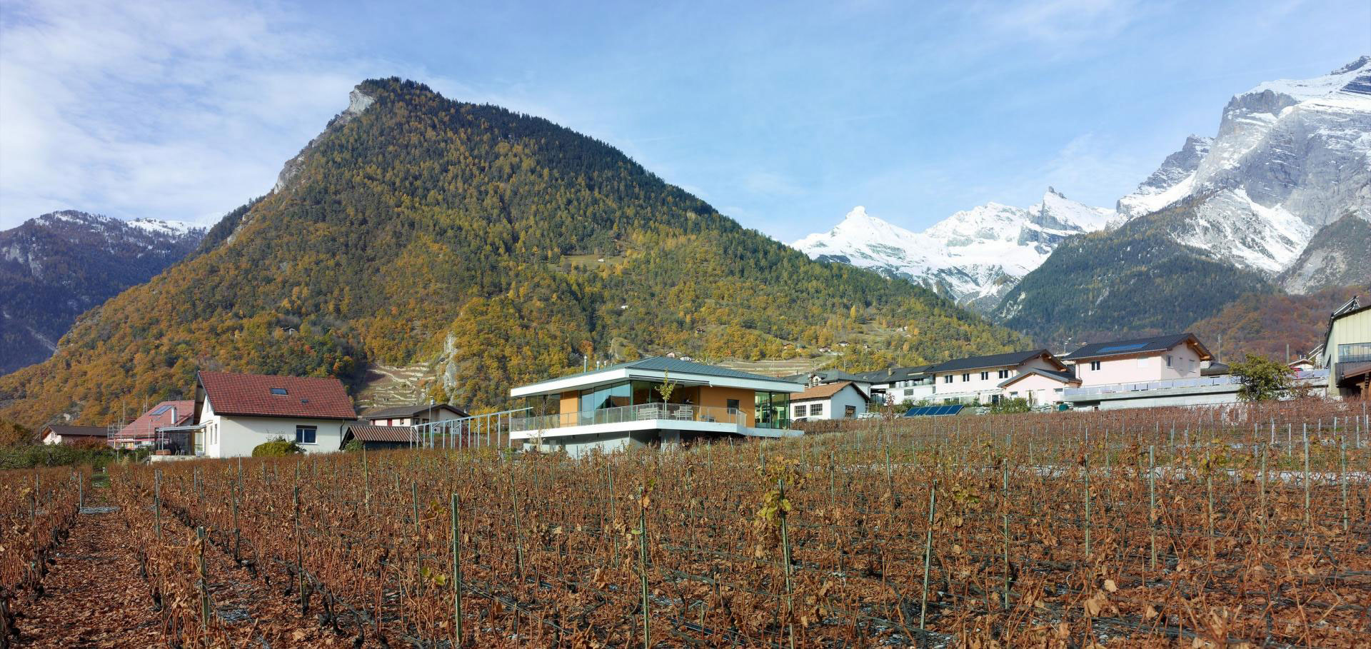 A Spectacular Concrete House Surrounded by Vineyard and Mountain Views of Chamoson by savioz fabrizzi architectes (2)