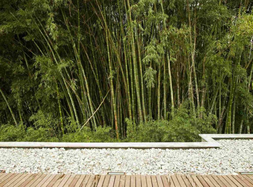 A Striking Contemporary Home Separated by a Stunning Black Stone Walls in Llano Grande, Colombia by David Ramirez (9)