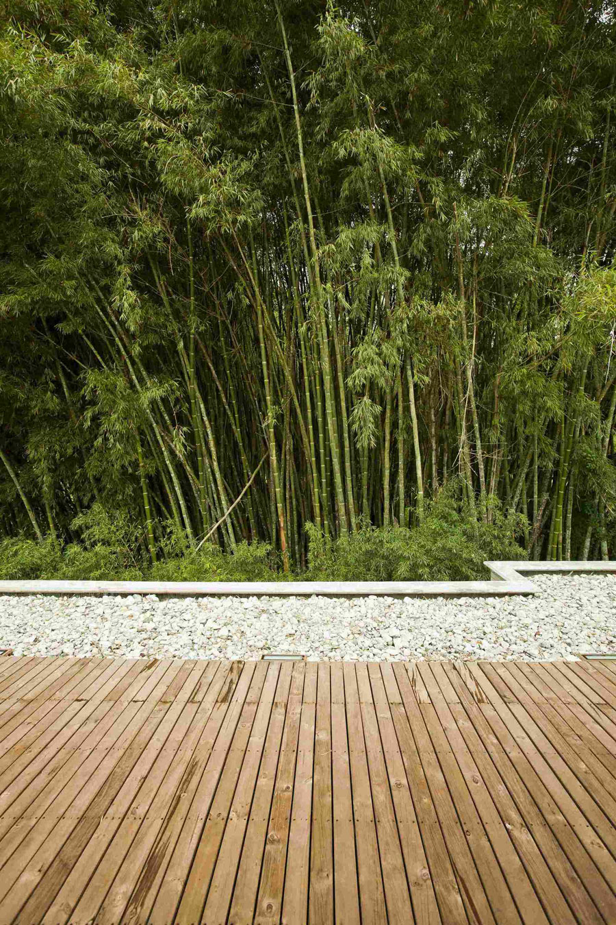 A Striking Contemporary Home Separated by a Stunning Black Stone Walls in Llano Grande, Colombia by David Ramirez (9)