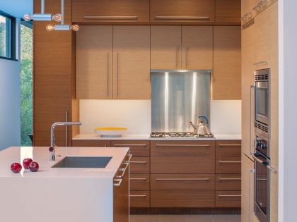 A Stunning Contemporary Home with Stylish Industrial Interiors in Alexandria by Robert M. Gurney Architect (5)