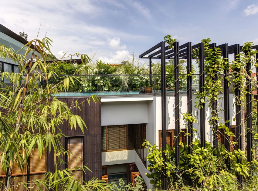 A Stunning House Surrounded by Lush Greenery and Courtyard Gardens in Singapore by Aamer Architects (2)