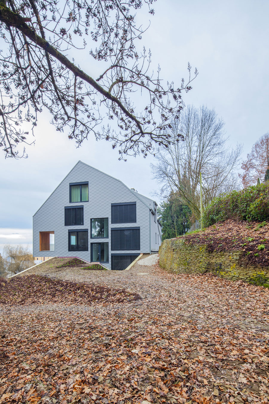 A Stunning and Spacious Contemporary Home Overlooking the Alpine Foothills in Linz by destilat (1)