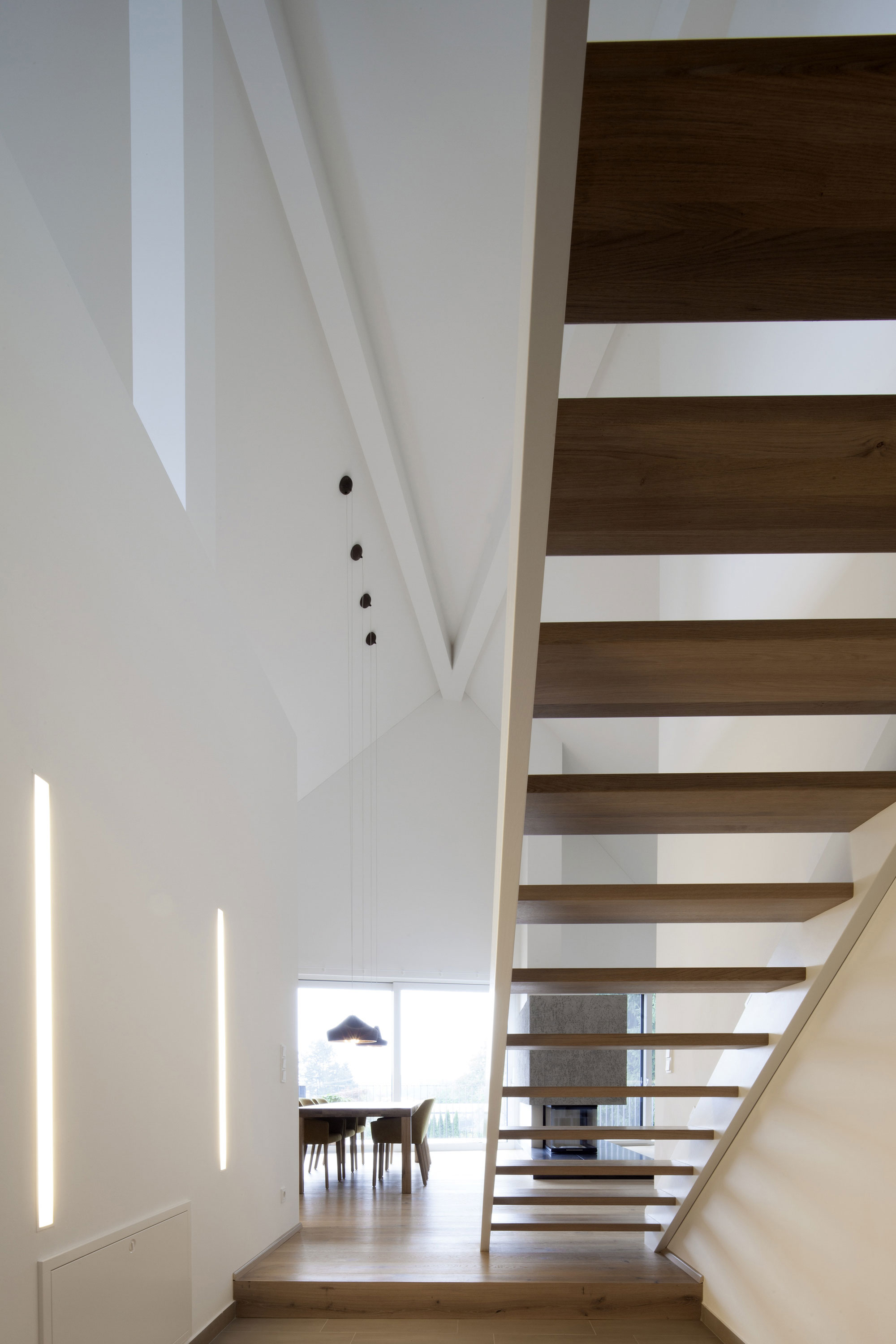 A Stunning and Spacious Contemporary Home Overlooking the Alpine Foothills in Linz by destilat (15)