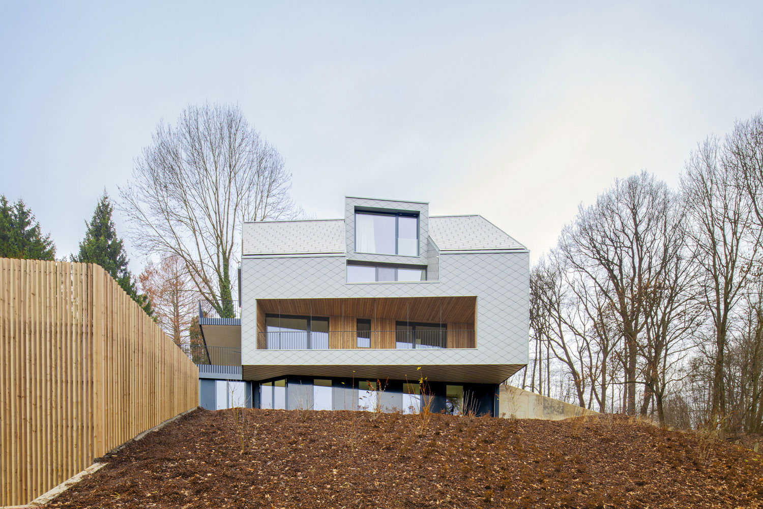 A Stunning and Spacious Contemporary Home Overlooking the Alpine Foothills in Linz by destilat (4)