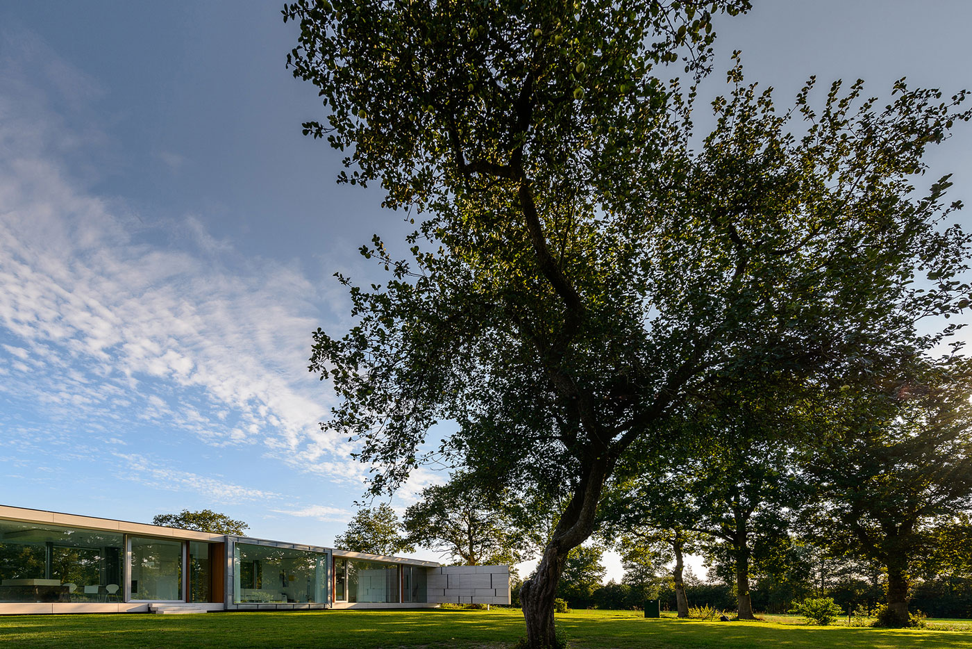 An Elegant and Captivating Modern Transparent House Behind a Grove of Trees in Bontebok, The Netherlands by Inbo (3)