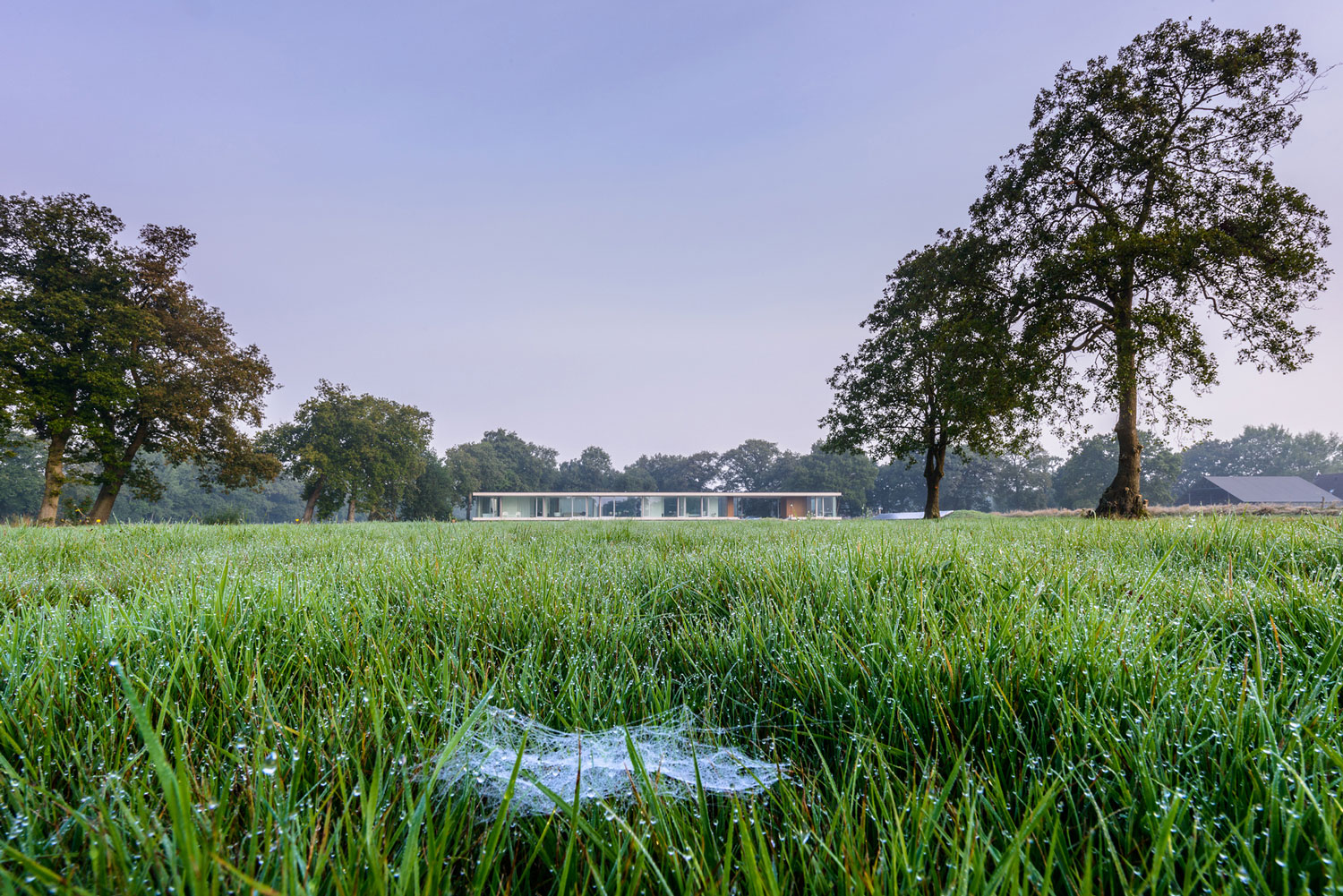 An Elegant and Captivating Modern Transparent House Behind a Grove of Trees in Bontebok, The Netherlands by Inbo (6)
