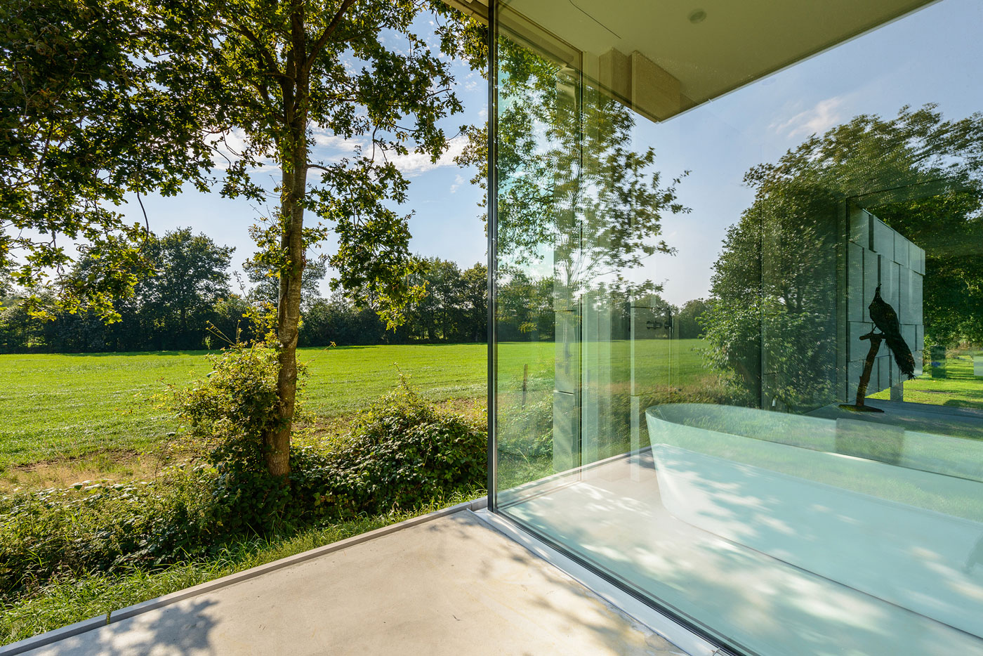 An Elegant and Captivating Modern Transparent House Behind a Grove of Trees in Bontebok, The Netherlands by Inbo (7)
