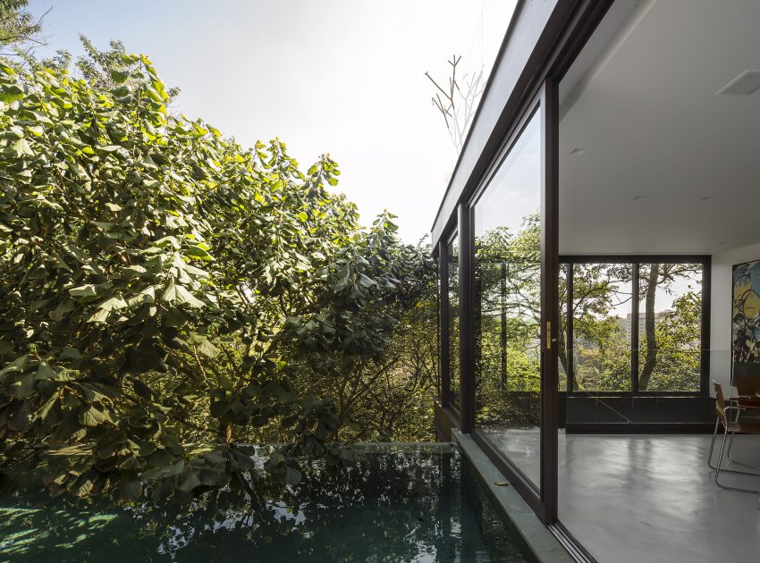 A Spectacular Home with Surprising Interior and Transparent Walls in São Paulo by Fernanda Marques Arquitetos Associados (4)