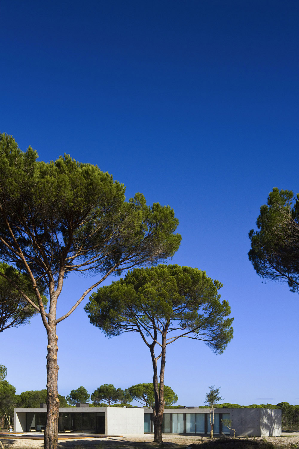 An Elegant Concrete and Glass Home with Warm and Cozy Interior in Comporta, Portugal by RRJ Arquitectos (3)