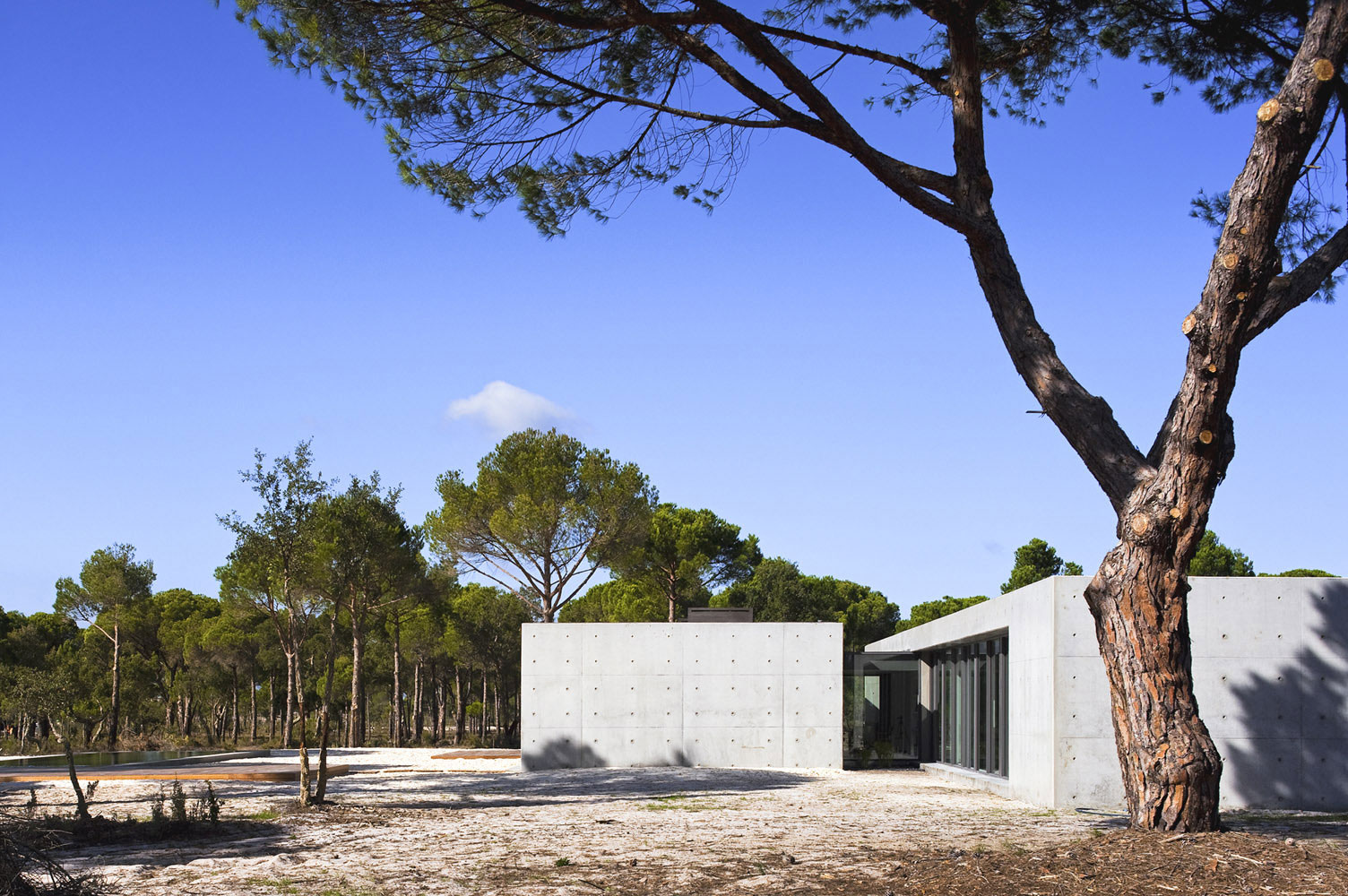 An Elegant Concrete and Glass Home with Warm and Cozy Interior in Comporta, Portugal by RRJ Arquitectos (6)