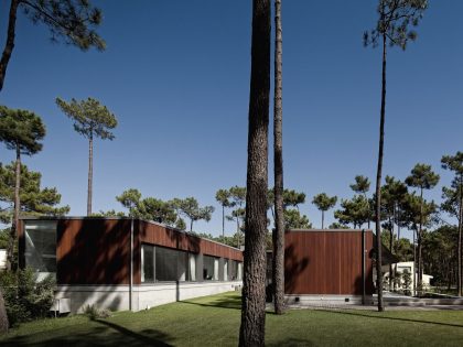 An Elegant Modern U-Shaped House in a Dense Pine Forest in Aroeira, Portugal by ColectivArquitectura (4)