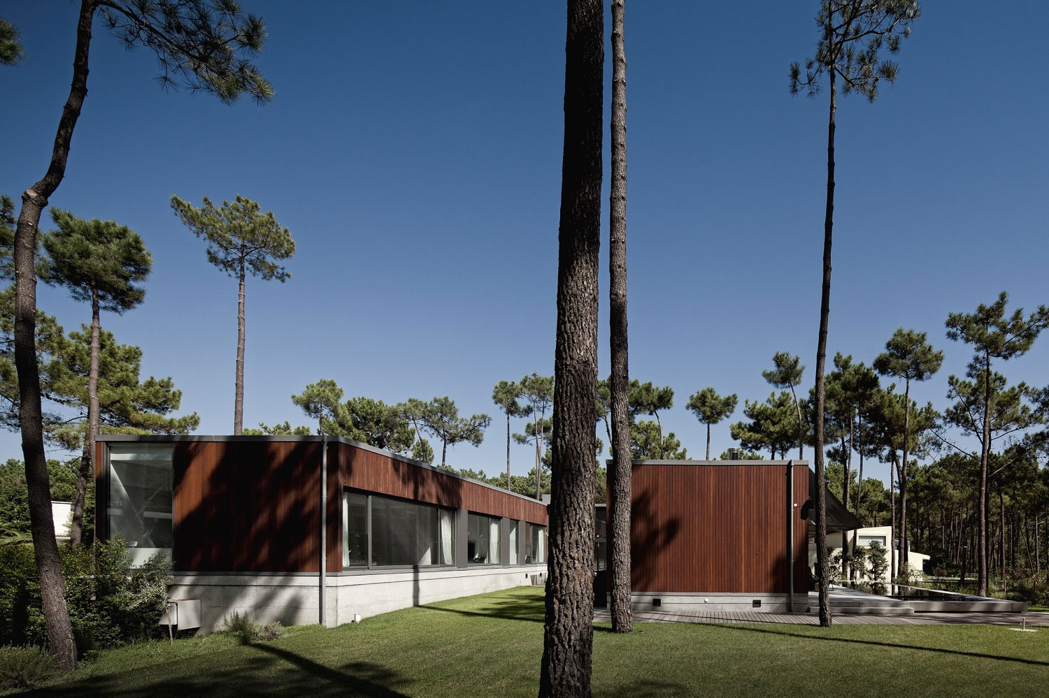 An Elegant Modern U-Shaped House in a Dense Pine Forest in Aroeira, Portugal by ColectivArquitectura (4)