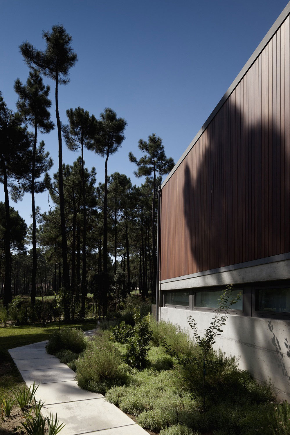 An Elegant Modern U-Shaped House in a Dense Pine Forest in Aroeira, Portugal by ColectivArquitectura (5)