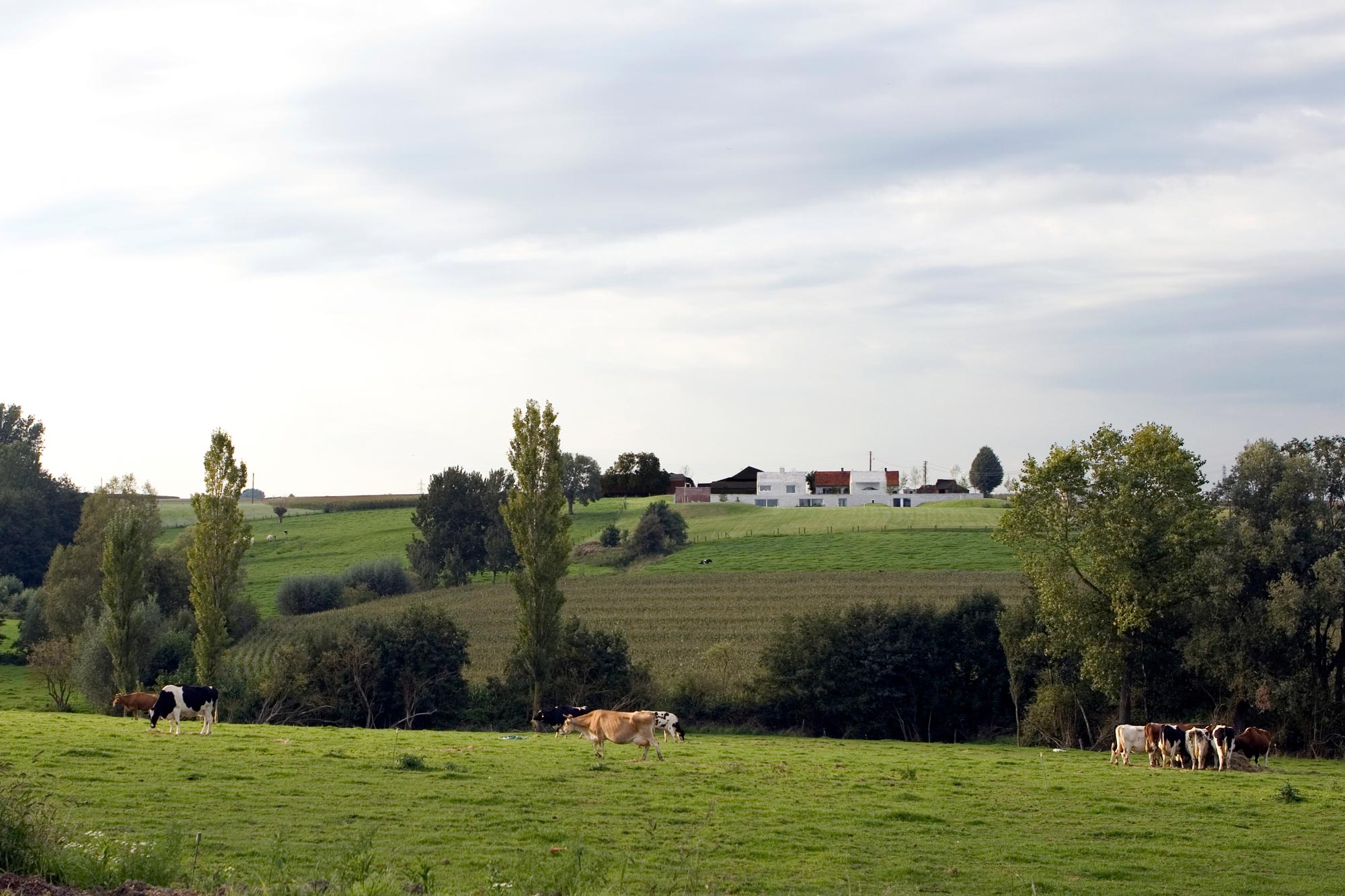 A Beautiful Contemporary Home Surrounded by Vast, Green Fields in Belgium by Stéphane Beel Architect (4)