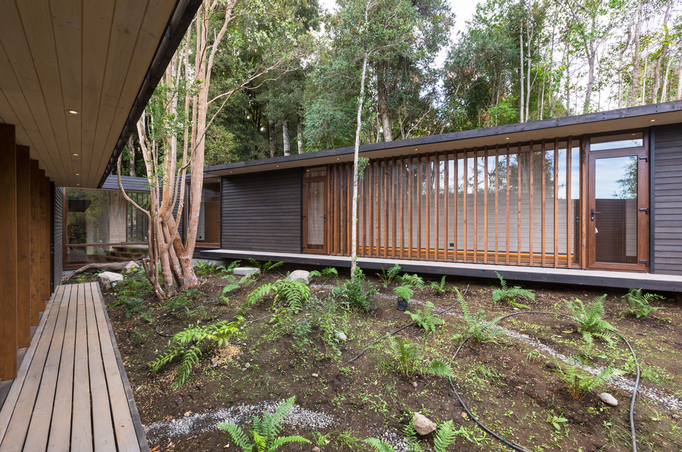 A Bright Contemporary Home Surrounded by Native Forests in Los Raulíes, Chile by planmaestro (8)