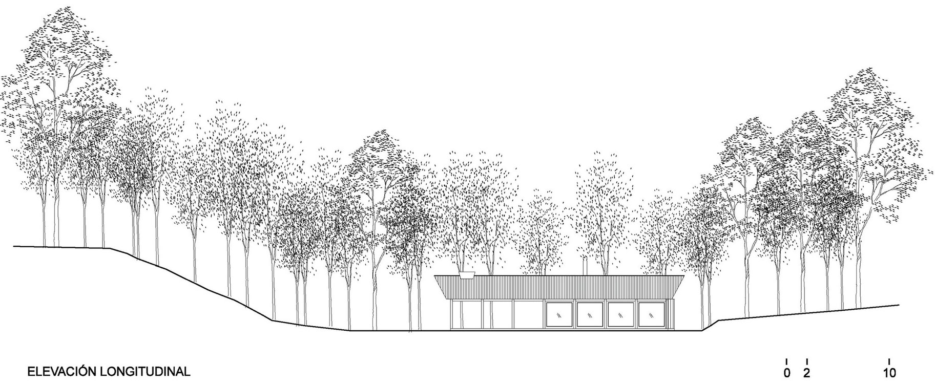 A Cozy Rustic Barn House Surrounded by a Lush Forest of Los Ríos Region, Chile by Estudio Valdés Arquitectos (13)