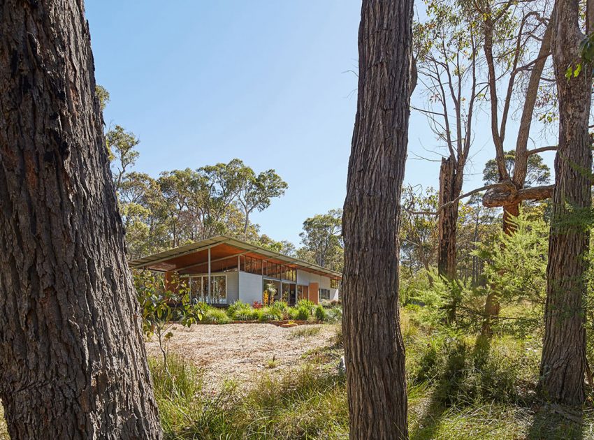 A Light-Filled Contemporary Home with Corrugated Steel Walls in Margaret River by Archterra Architects (3)