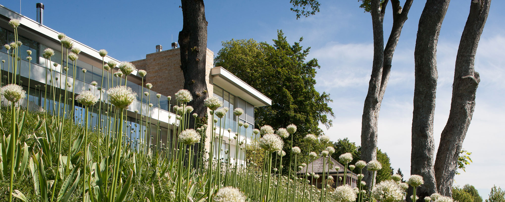 A Simple But Sophisticated Contemporary Home with Infinity Pool in Munich, Germany by Stephan Maria Lang (1)