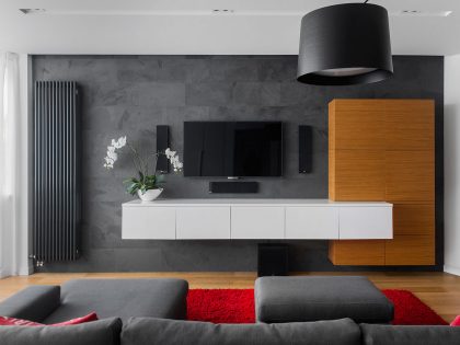 A Small Modern Apartment with Neutral Color and Dark Accents in Moscow, Russia by Tikhonov Design (2)