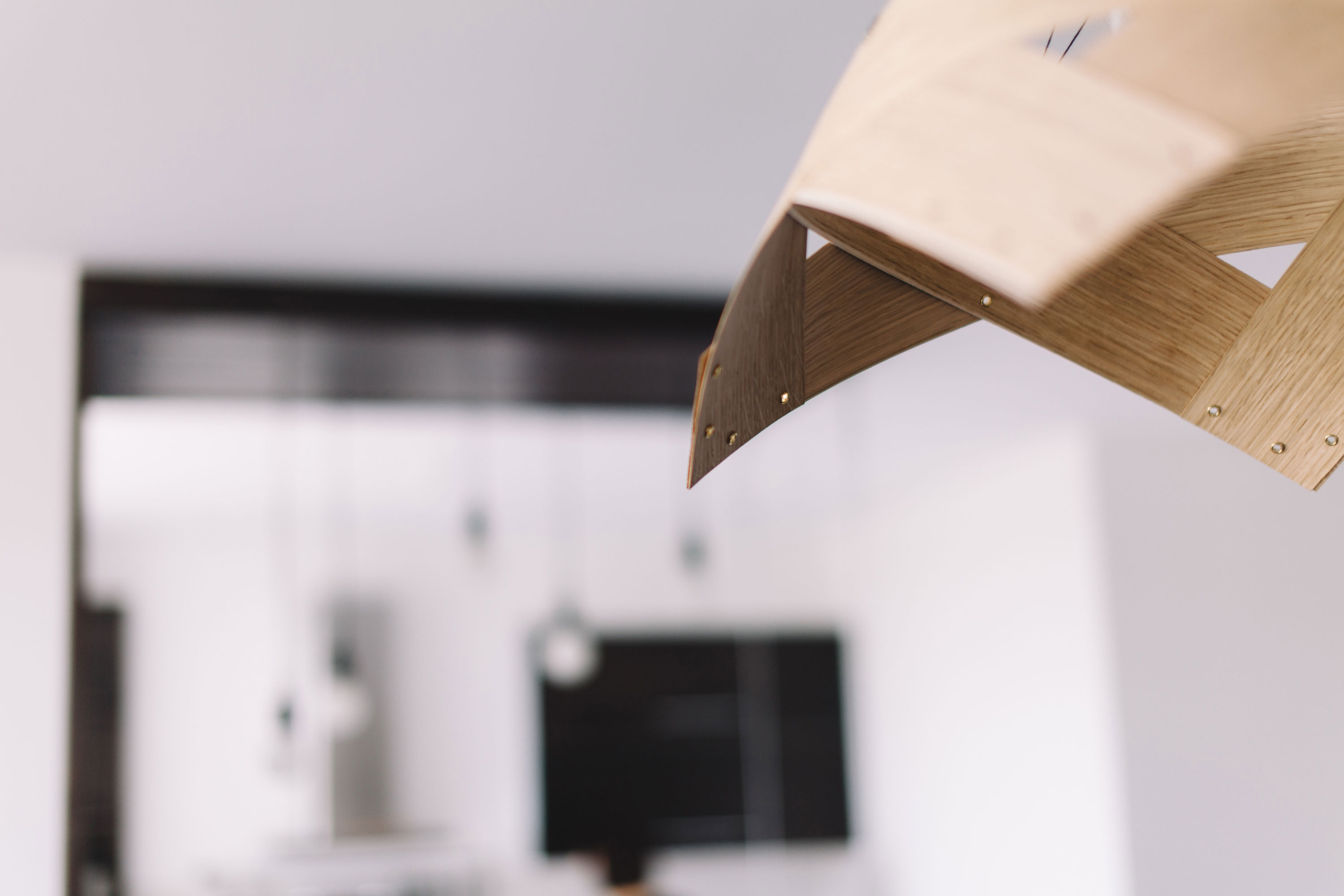 A Sophisticated and Elegant Contemporary Apartment in Lviv, Ukraine by Formaline (3)