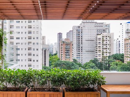 A Unique and Elegant Contemporary Apartment in São Paulo by ROCCO ARQUITETOS (2)