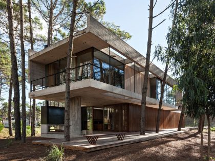 An Elegant Concrete and Glass House in the Forest of Pinamar, Argentina