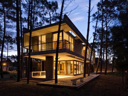 An Elegant Concrete and Glass House in the Forest of Pinamar, Argentina by ATV arquitectos (10)