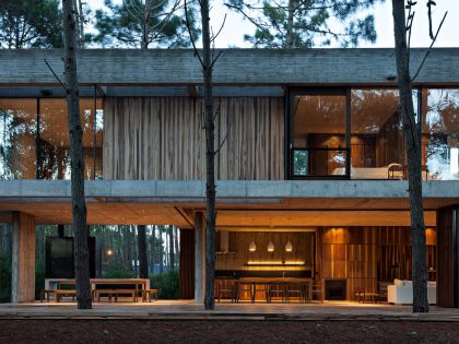 An Elegant Concrete and Glass House in the Forest of Pinamar, Argentina by ATV arquitectos (11)