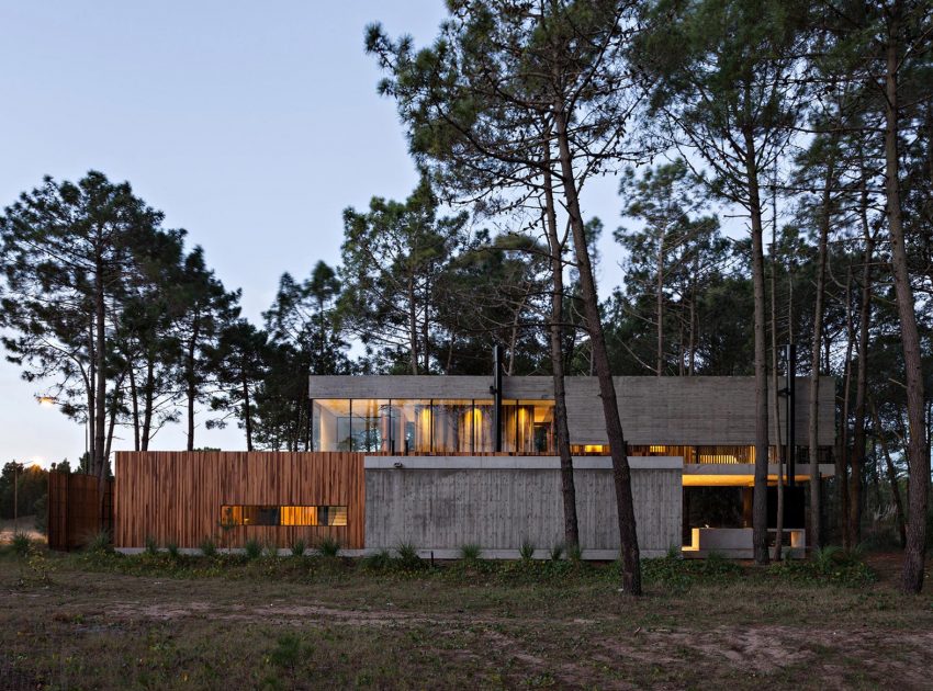 An Elegant Concrete and Glass House in the Forest of Pinamar, Argentina by ATV arquitectos (12)