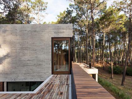 An Elegant Concrete and Glass House in the Forest of Pinamar, Argentina by ATV arquitectos (2)